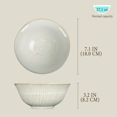 27.1 oz Ceramic Soup Bowls Set of 4 F341056