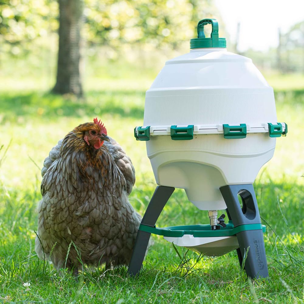 6 Gallon Top Fill Gravity Fed Poultry Waterer Z10035