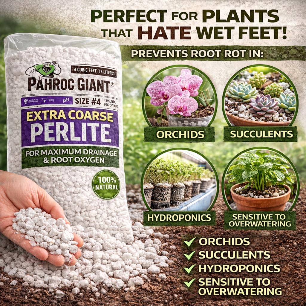 Perlite 4 CF Super Coarse O6539