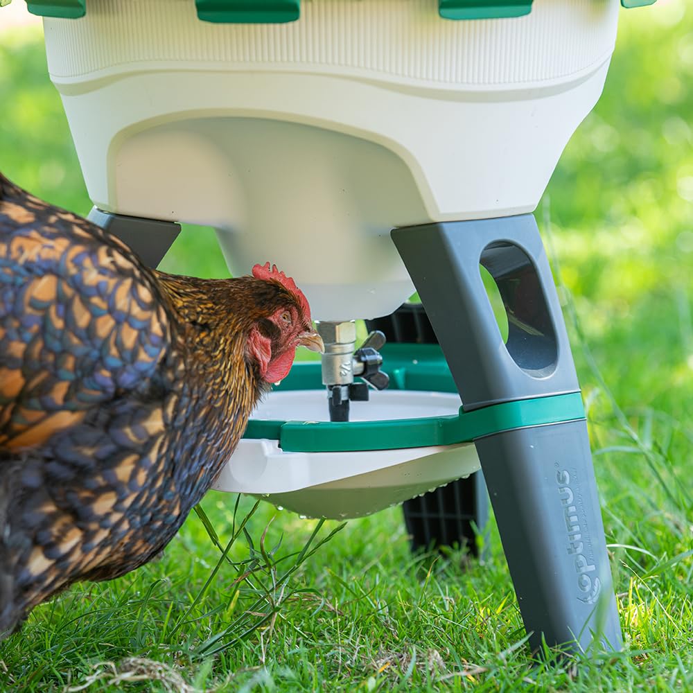 6 Gallon Top Fill Gravity Fed Poultry Waterer Z10035