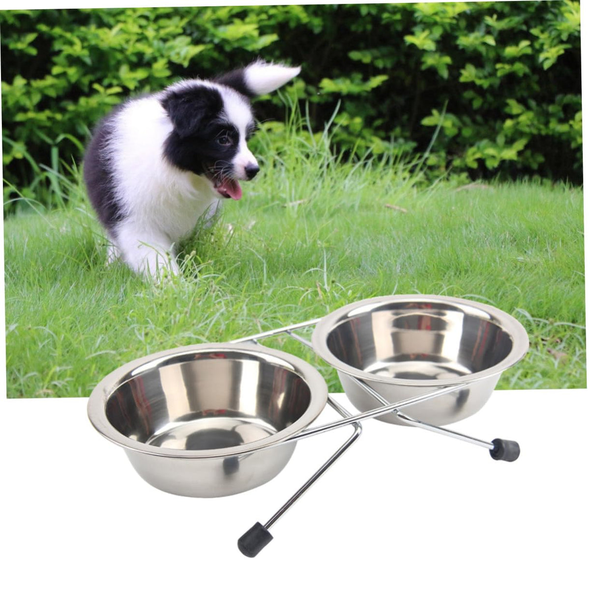 Stainless Steel Dog Cat Bowls Set P5568