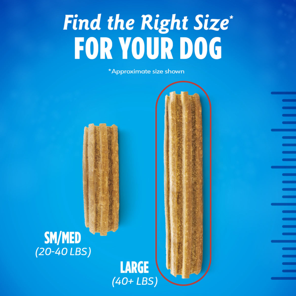 Large Dog Treats B25301