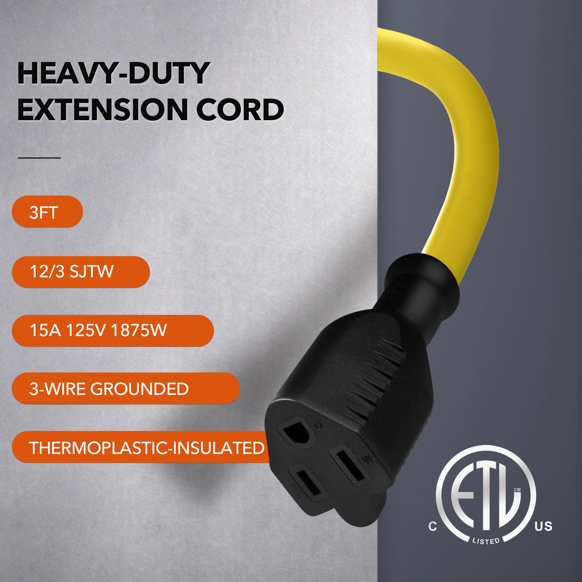 3ft 12/3 SJTW Heavy Duty Outdoor Extension Cord Y284888
