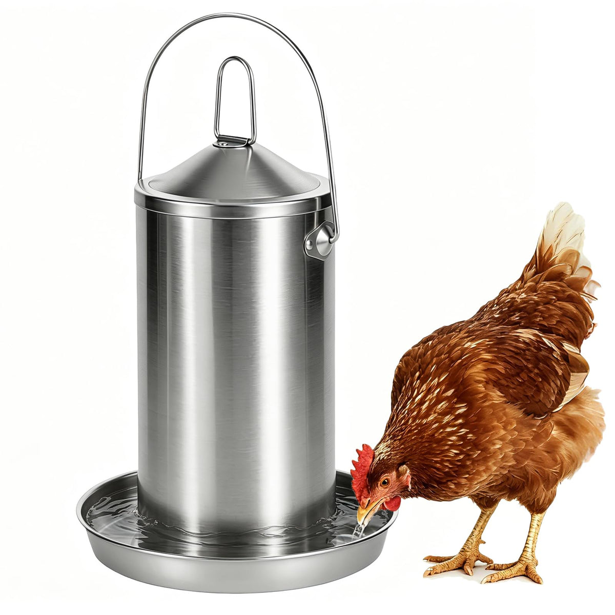 Stainless Steel Chicken Waterer A645