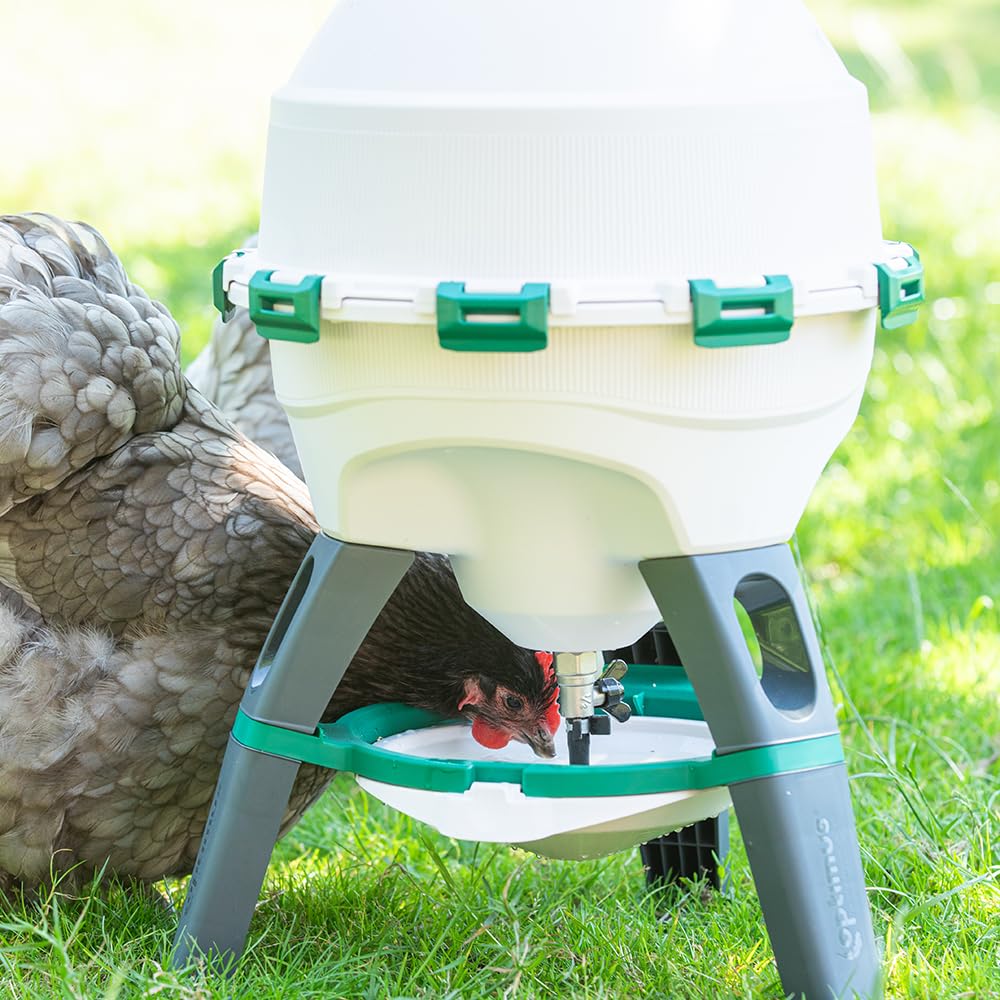6 Gallon Top Fill Gravity Fed Poultry Waterer Z10035