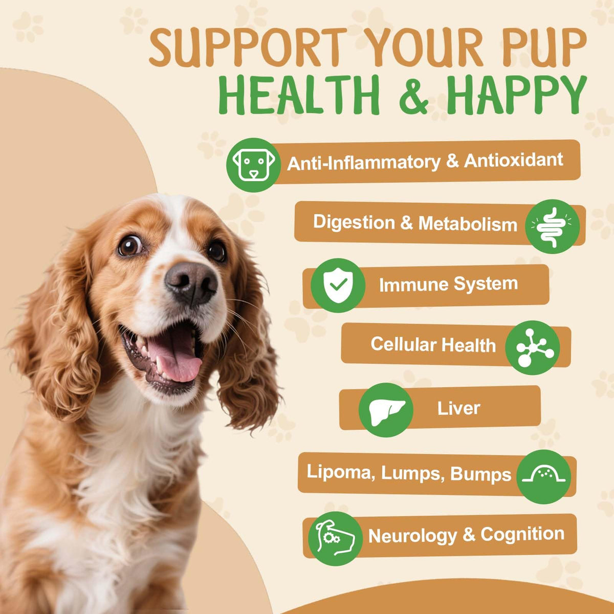9 in 1 Mushroom for Dogs R85244
