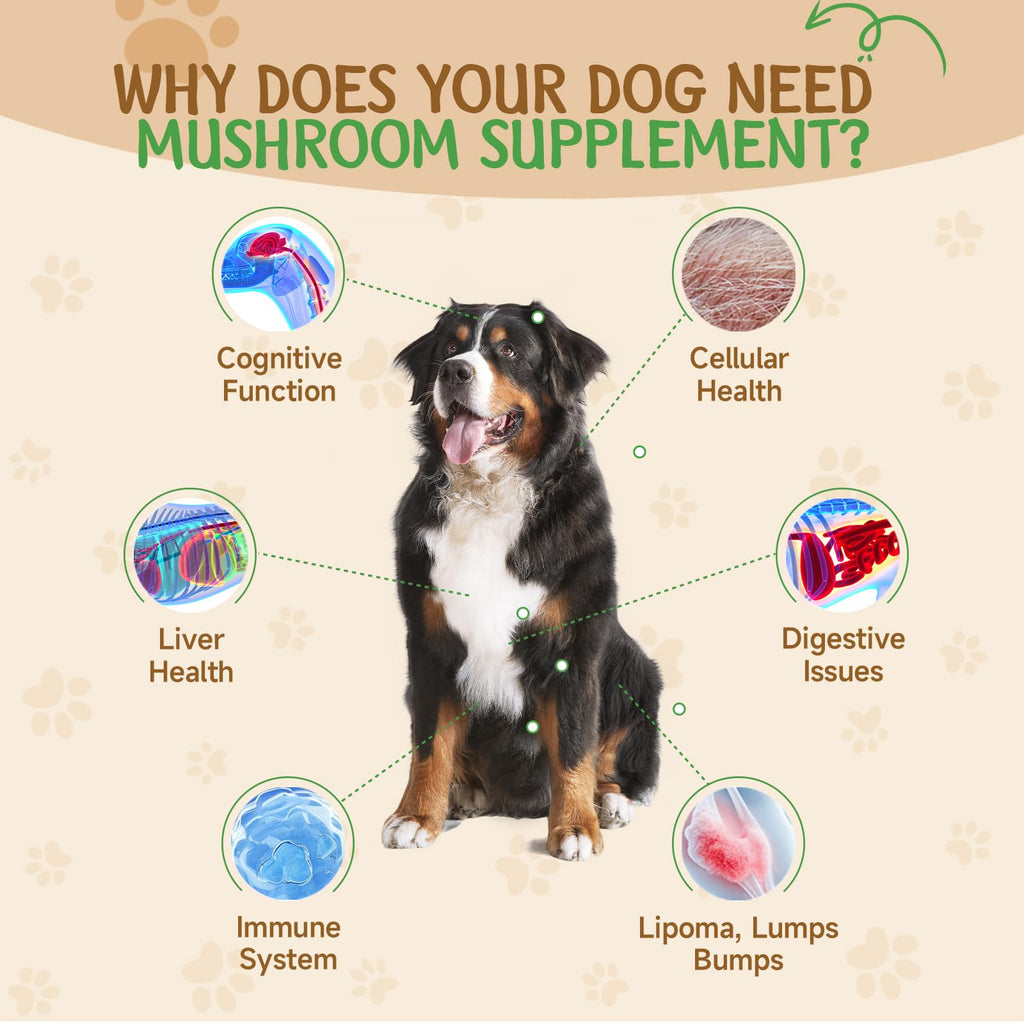 9 in 1 Mushroom for Dogs R85244