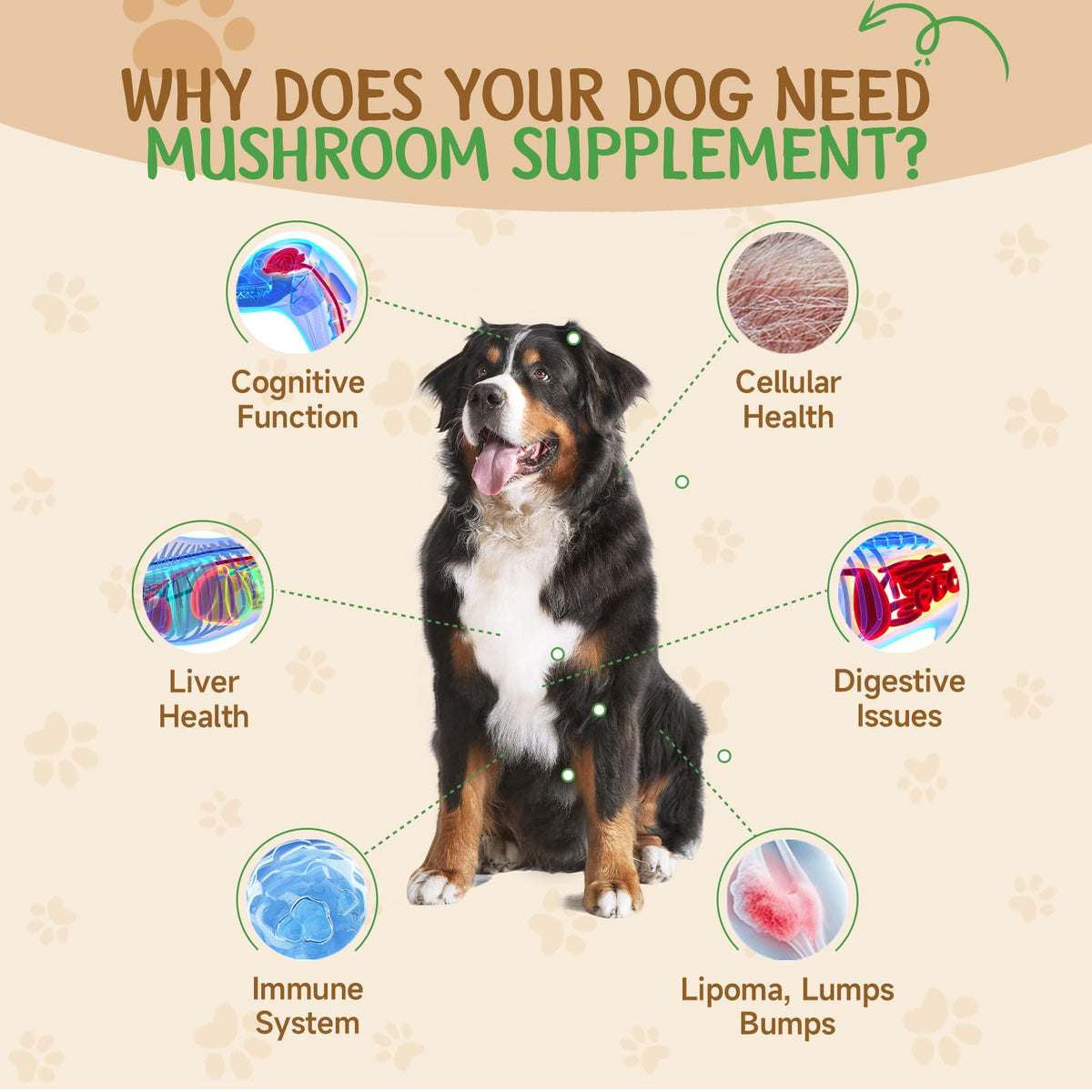 9 in 1 Mushroom for Dogs R85244
