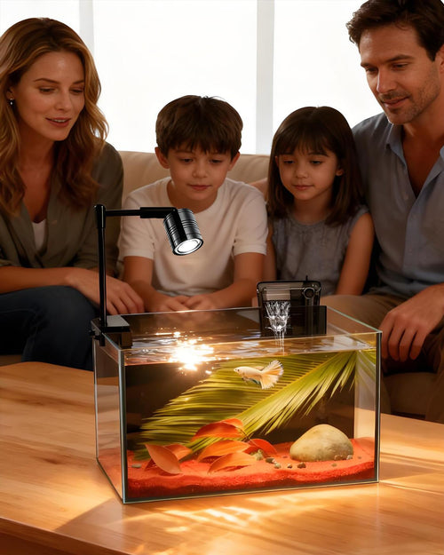 3 Gallon Ultra-Clear Glass Fish Tank with Filter and Led Light R112