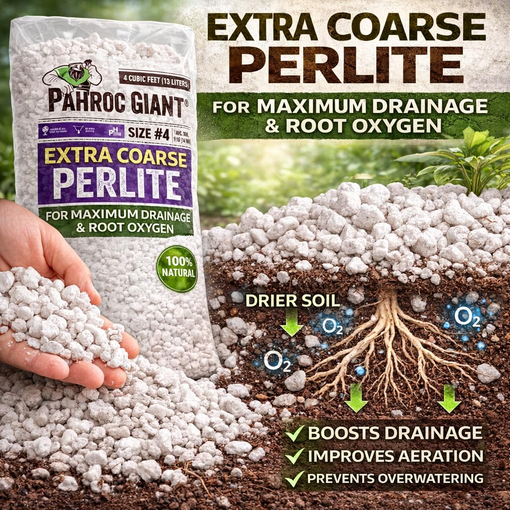 Perlite 4 CF Super Coarse O6539