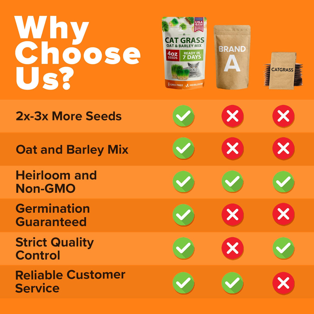 Cat Grass Seeds 4 oz Oat & Barley Mix A863