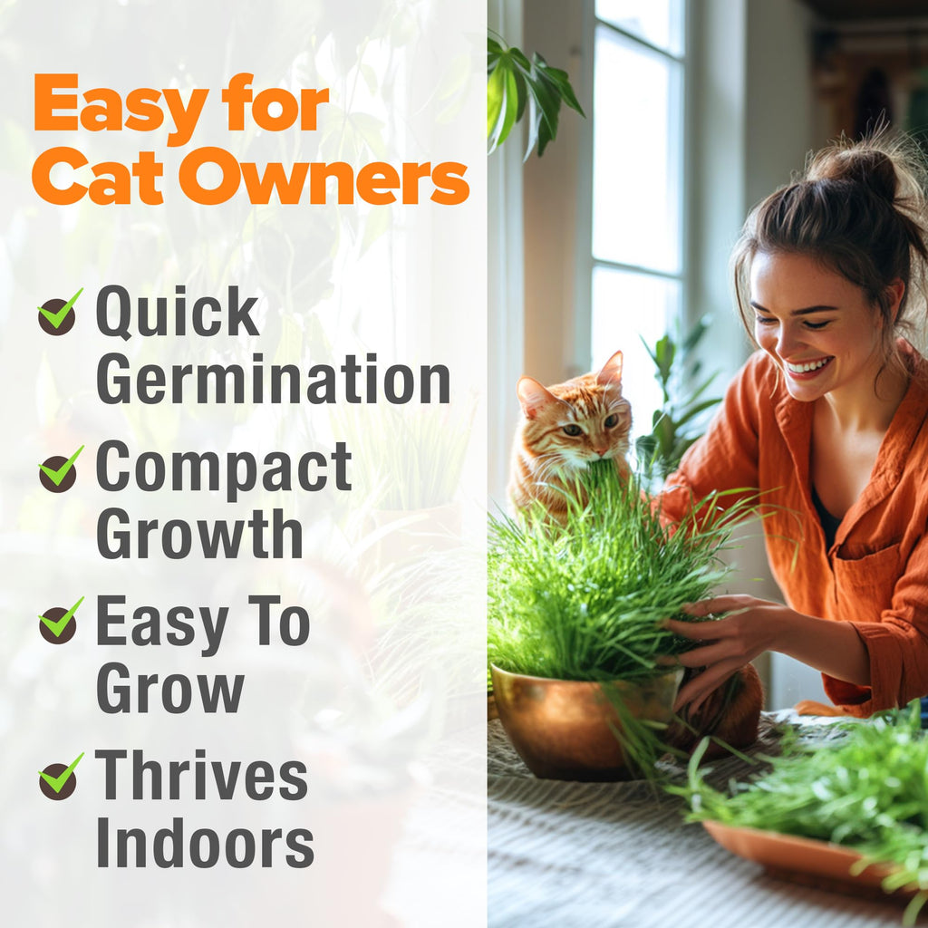 Cat Grass Seeds 4 oz Oat & Barley Mix A863