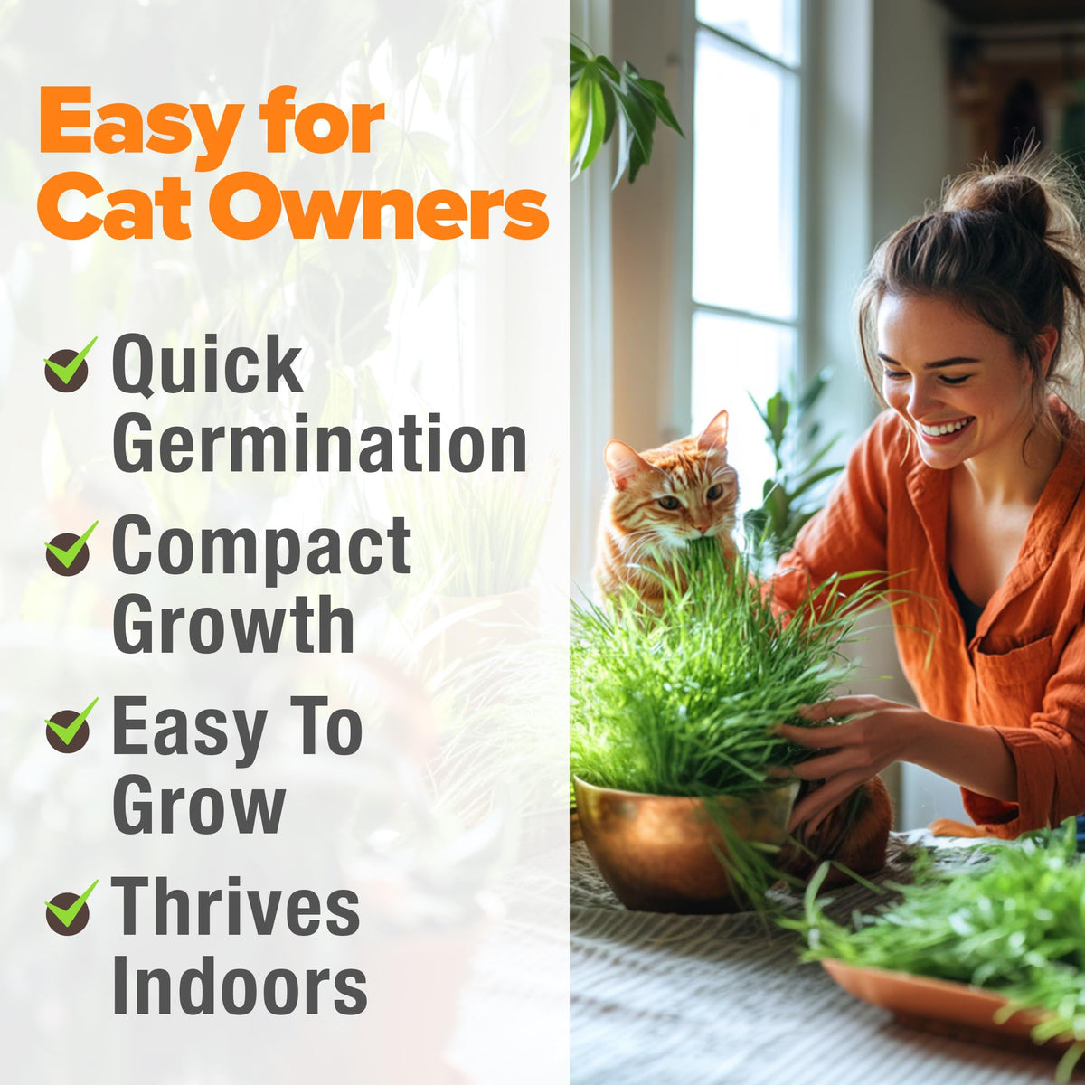 Cat Grass Seeds 4 oz Oat & Barley Mix A863