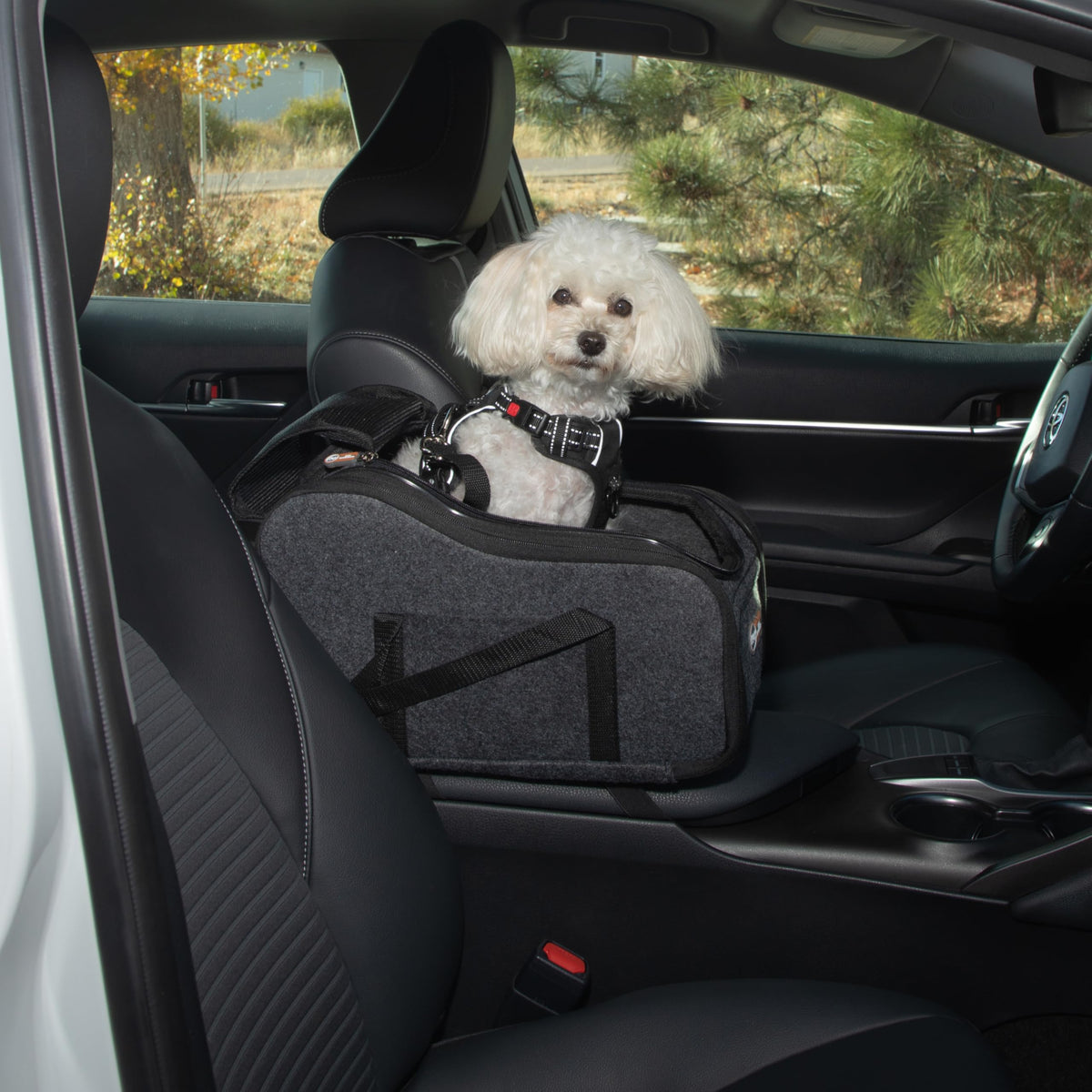 Dog Car Seat for Pets Under 8 lbs L819174