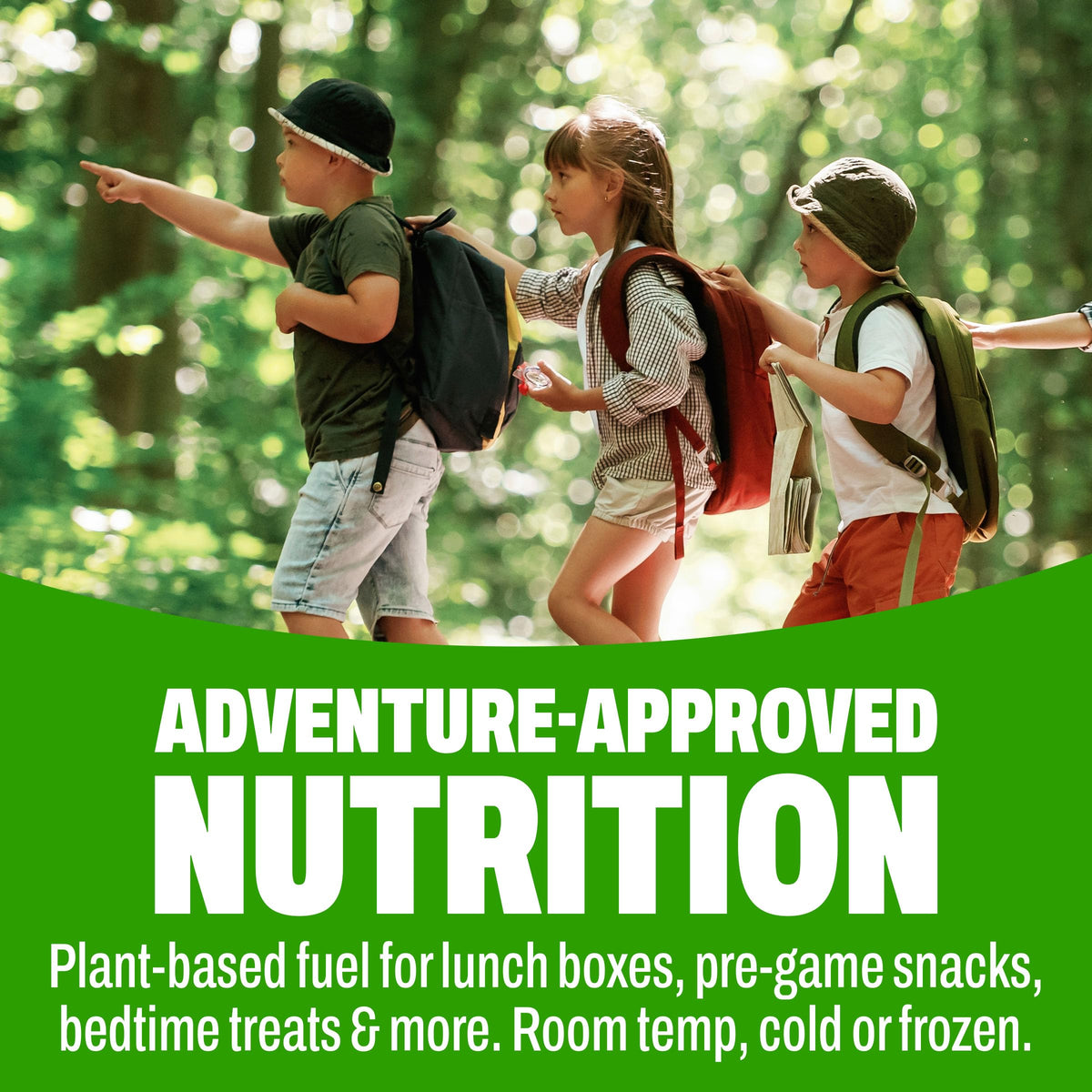 Organic Vegan Kids Protein Shakes Chocolate 8 Fl Oz 12 Pack X5396