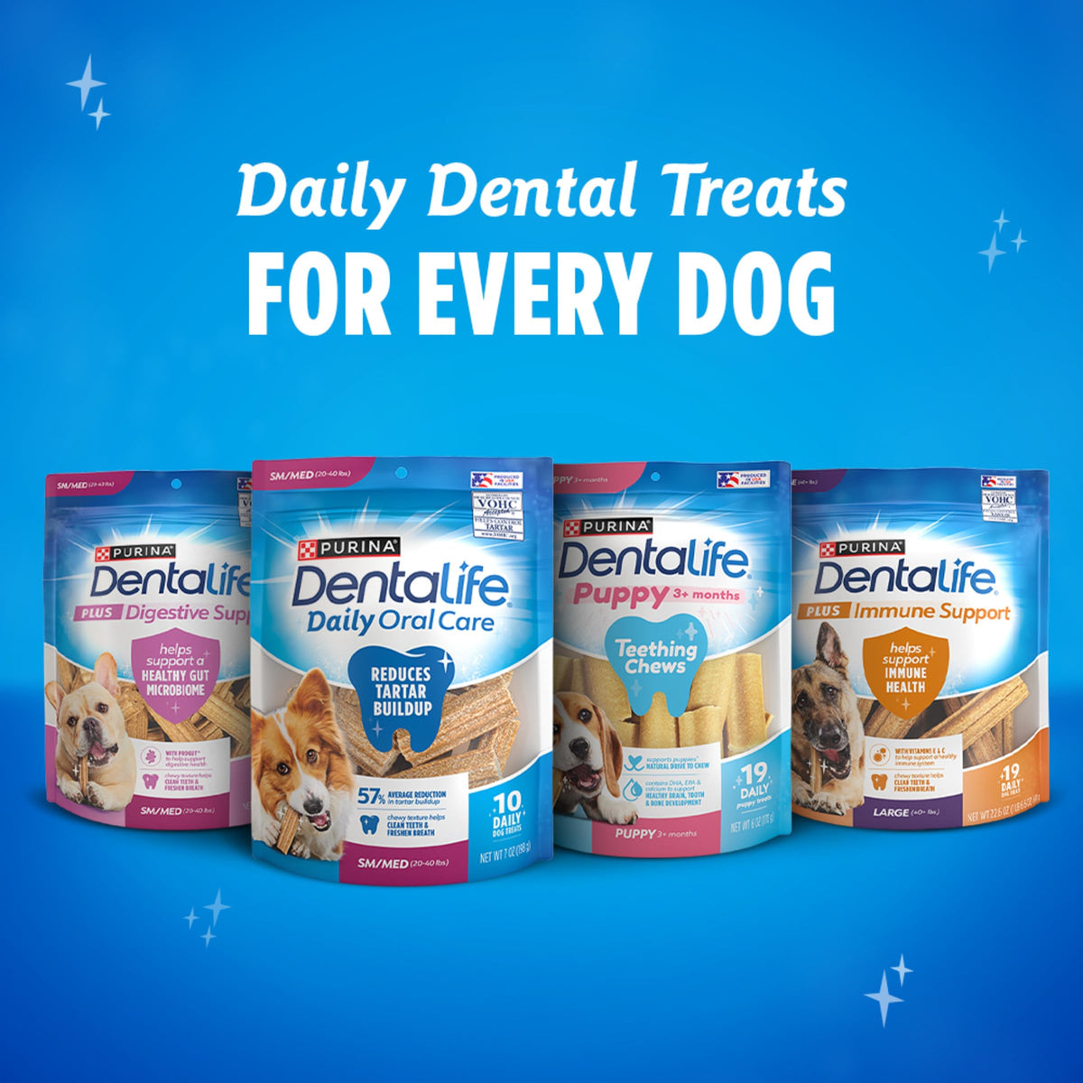 Large Dog Treats B25301